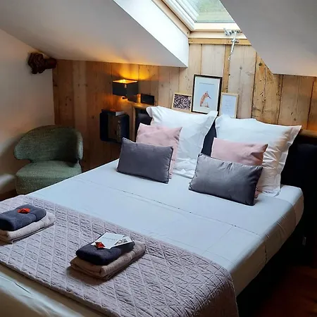 Bed and breakfast En Face Du Marronnier *