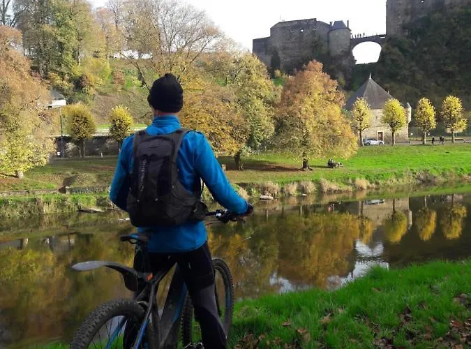 Panzió En Face Du Marronnier *