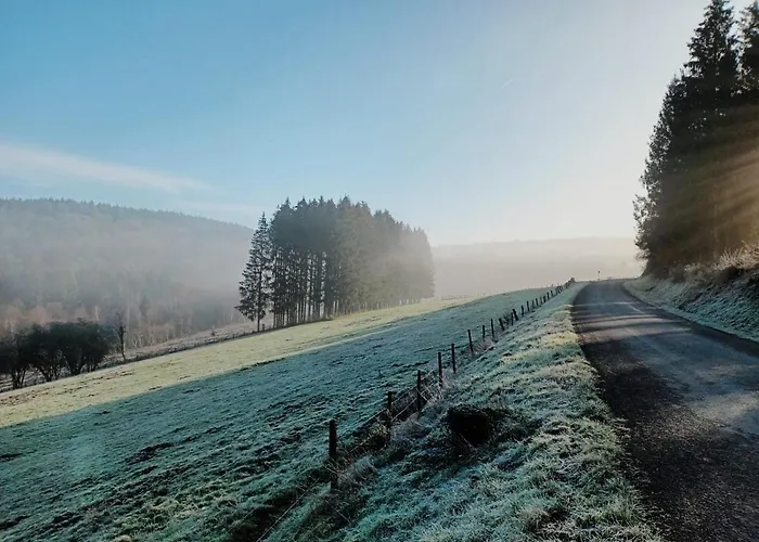 En Face Du Marronnier * Cornimont