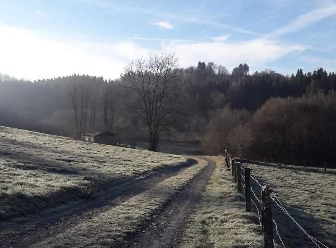 En Face Du Marronnier Cornimont
