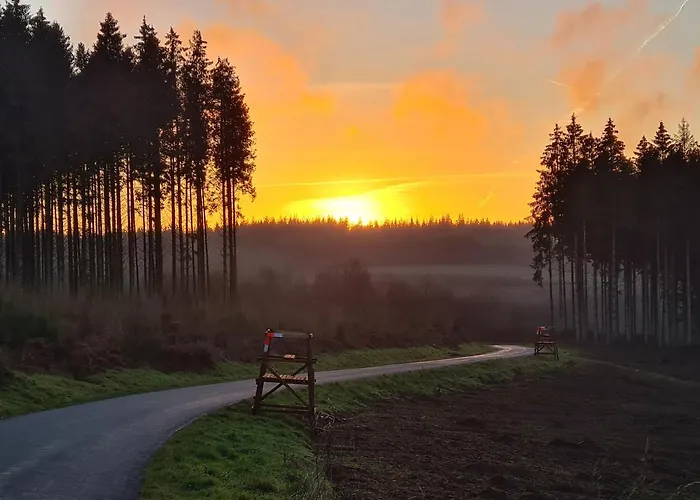 En Face Du Marronnier Panzió *